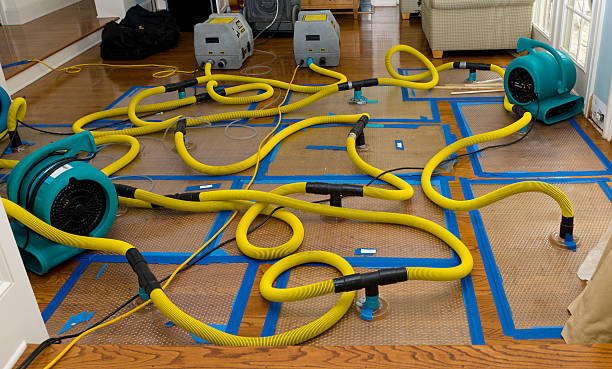 Professional Basement Flood Cleanup technician working in Canby, OR